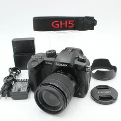 2024年最新】dc-gh5 中古の人気アイテム - メルカリ