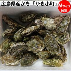かき小町 殻付き牡蠣 Mサイズ 1ケース（30個入り） 広島県産 加熱用（冷蔵便）