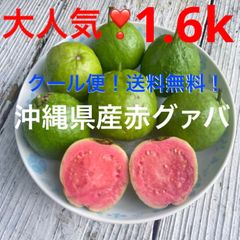 shop限定価格‼️大人気❣️沖縄県産白グァバ✨大〜中サイズ✨箱別1.1