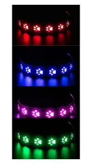 Acid 【セット】光る首輪 + リード犬 散歩 ライト 夜 ペット 充電式 超明るい 軽量 抗菌 小型犬 中型犬 大型犬 サイズ調節可能 (M, 青) [青] [M]