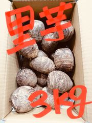 山形県庄内砂丘美味しい里芋
