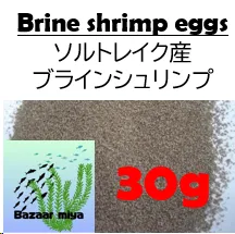 2026年最新】ブラインシュリンプの人気アイテム - メルカリ