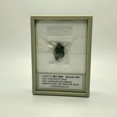 2025年最新】シホテアリンの人気アイテム - メルカリ 