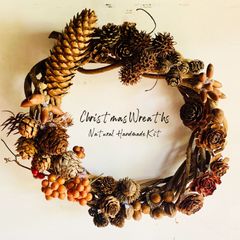 玄関リース 約25cm ハンドメイド 手作りキット 木の実 リース 飾り 天然素材