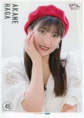 モーニング娘。'25　集合　春　コレクションピンナップポスター　Part2 モーニング娘。'25 集合 春 コレクションピンナップポスター