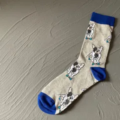 動物シリーズ　ブルーグレーパグ　〜スケボー犬〜　レディースソックス