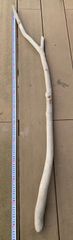 流木 約145cm カットなし
