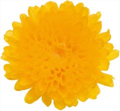 Item thumbnail for item a740e39f-3b88-45c7-b1ed-b25596177803