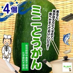 ミニとうがん（姫とうがん、ミニ冬瓜）　栽培期間中農薬不使用・化学肥料不使用　埼玉県産　７個