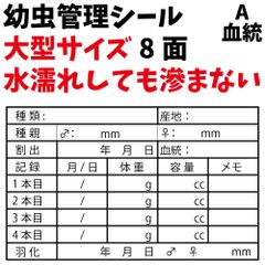 大きいサイズ 幼虫管理ラベルA「血統」8面10シート80枚 オオクワガタ飼育用品 クワガタ