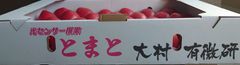 長崎県産 フルーツトマトS 32玉