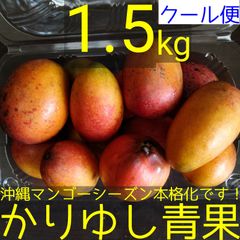 沖縄県産 ミニマンゴーＢ品 約1.5kg【クール便】④