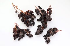 オーガニック レーズン 2kg ノンオイル 無添加 房干し カルフォルニアレーズン