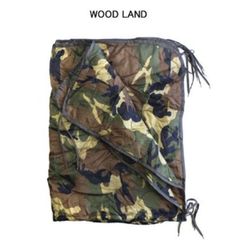 Item thumbnail for item 3cdfbd28-21a2-4758-b3c0-197f01d1a0b2