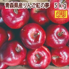 青森県産 りんご　紅の夢　大玉　ご家庭用　訳あり　5ｋｇ　送料無料！