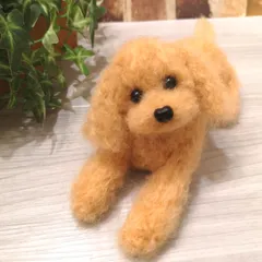 トイプードル♡大きめサイズ
