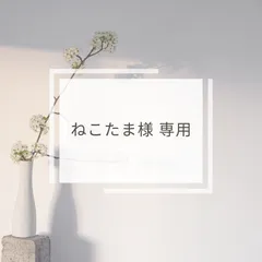 ネクストコア NEXT-21B アルミ製介助式車椅子 松永製作所 ネクストコアシリーズ 中古車椅子 介護用品 ノーパンクタイヤ