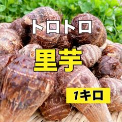 農家直送‼️掘り立て新鮮‼️トロトロ里芋１キロ‼️里芋