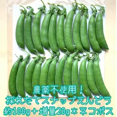スナップえんどう ネコポス発送 スナップえんどう 750gネコポス発送 - メルカリ