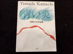 山田かまち 青い炎 作品集 - メルカリ
