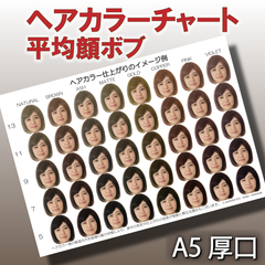 ヘアカラーチャート 平均顔ベース A5厚口 おしゃれ染め ファッションカラー 美容室 ボブ