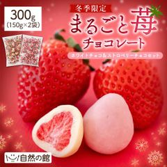 冬季限定まるごと苺チョコレート300g 2種セット いちご バレンタイン ギフト スイーツ チョコ チョコレート