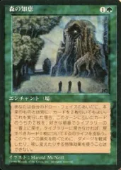 マジック：ザ・ギャザリング - MTG 森の知恵/Sylvan Library　英3枚 森の知恵 (Dominaria Remastered 日本語) | Magic: The Gathering