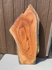 センダン 栴檀 一枚板 60cm 板材 木材 [559]