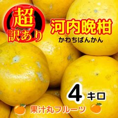 超！訳あり河内晩柑　4キロ　不揃い不選別　北海道、東北、沖縄のお客様発送不可です