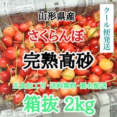 【クール便】山形県産 さくらんぼ 完熟高砂 箱抜 2kg 加工 生食 訳あり