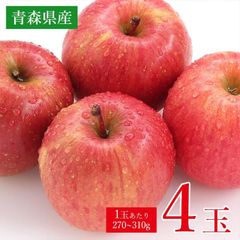 【順次発送中】 送料無料 青森県 青森 サンつるが サンふじ ふじりんご ご家庭用 4玉 1玉 270g ～ 310g 前後 りんご 国産 国産りんご 青森りんご リンゴ ご家庭用 ご自宅用