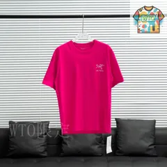 【今日WTO】ARC'TERYX クラシック前後ロゴ半袖 T シャツ-RQ52