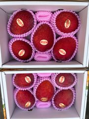 沖縄県産マンゴー 5玉 箱込み2.1〜2.3kg (1玉400g前後)×2箱
