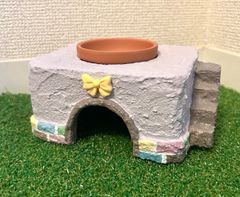 爬虫類　シェルター　パープル