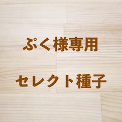 ぷく様専用　セレクト種子　6袋
