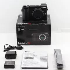 2025年最新】lumix gx7 mk3の人気アイテム - メルカリ