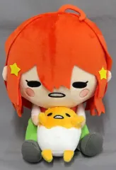 きか出品 ぬいぐるみ5個 2025年最新】五等分の花嫁 ぬいぐるみ 中野五月の人気アイテム - メルカリ