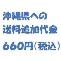 沖縄県への別途送料代 660円
