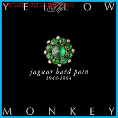 2025年最新】Jaguar Hard Painの人気アイテム - メルカリ