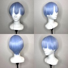 【未使用品】葬送フリーレン　ヒンメル　ウィッグ     0039