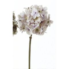 【新品・3営業日で発送】ハイドランジア【価格変更】 (A-39579-63P)【入数:12】のサムネイル