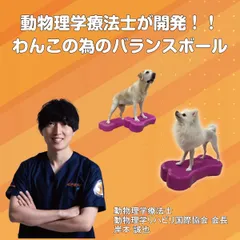 2024年最新】バランスボーン 犬の人気アイテム - メルカリ