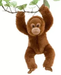 2025年最新】オランウータンぬいぐるみの人気アイテム - メルカリ