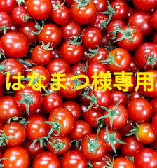 はなまつ様専用　1kg＋100g