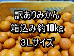 訳ありみかん　箱込み約10kg　3Ｌサイズ