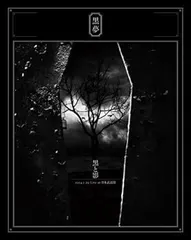 黒夢 ツアートラック 国立代々木&日本武道館 2台セット 清春 黒