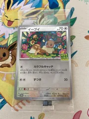 イーブイ 196/SV-P プロモ 15枚セット ryuunoshippo_240808543