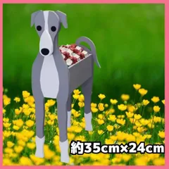 2025年最新】イタリアングレイハウンドの人気アイテム - メルカリ