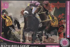 【競馬】第52回有馬記念現地馬券全頭セット　マツリダゴッホ 競馬】第52回有馬記念現地馬券全頭セット マツリダゴッホ