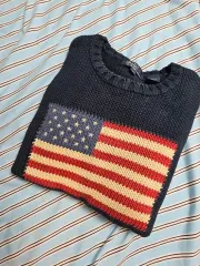 ポロ アメリカ国旗 ニット
